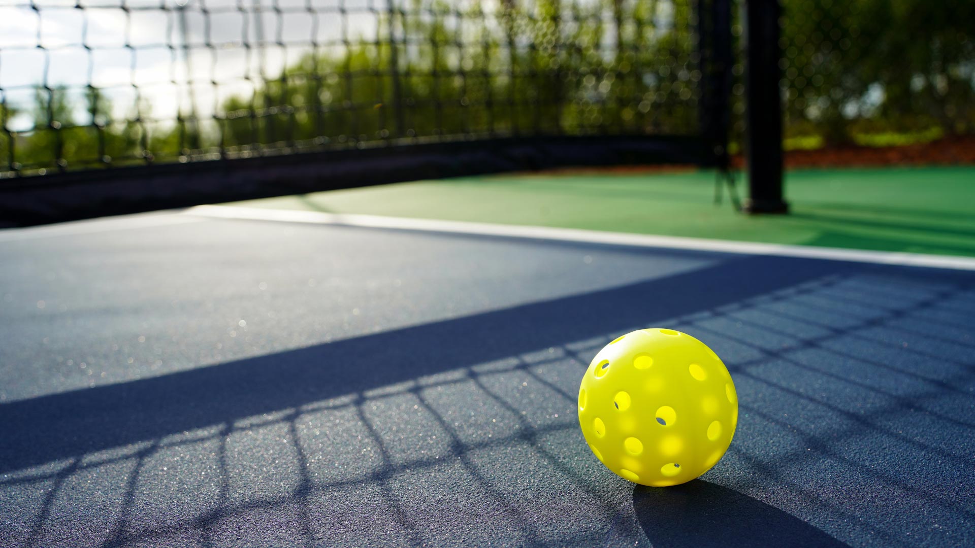 Pickleball Header Image