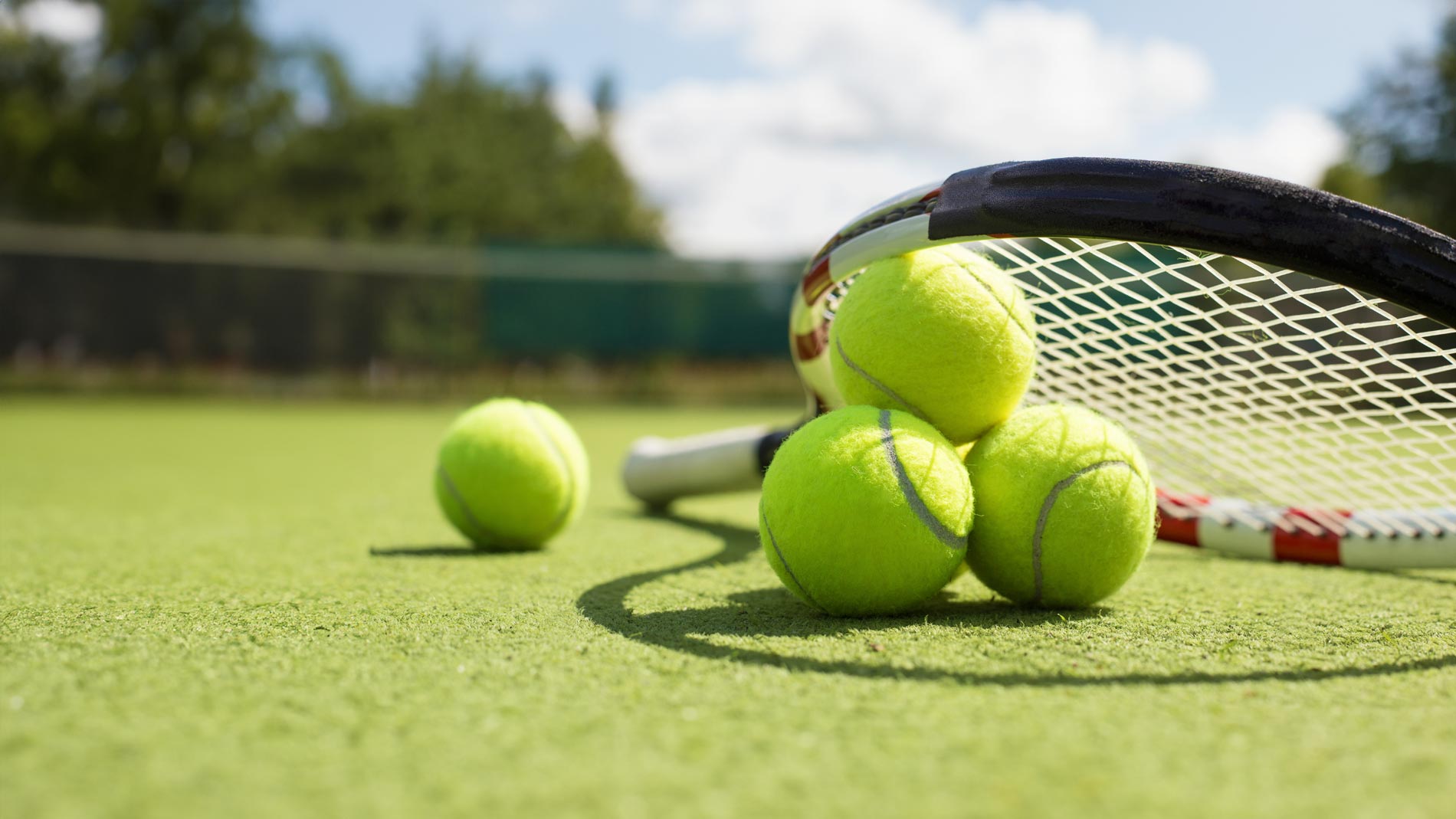 Pickleball Header Image